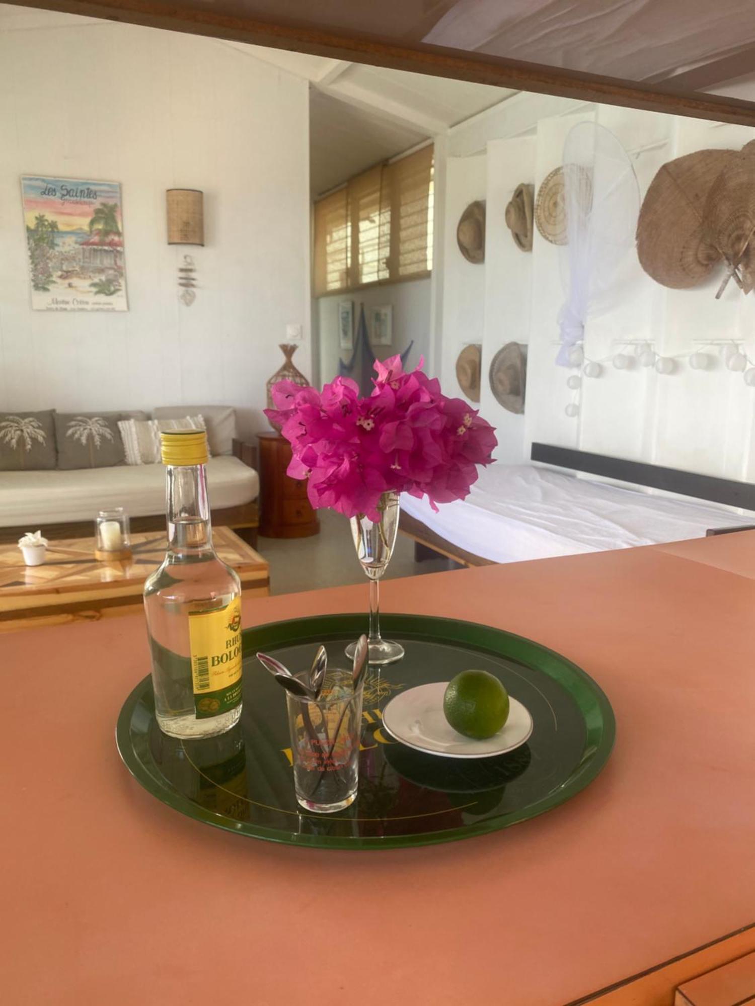 Appartement La Sucriere à Terre-De-Haut Extérieur photo