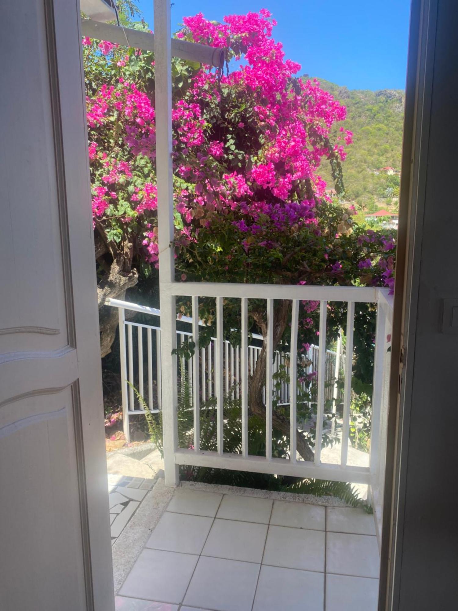 Appartement La Sucriere à Terre-De-Haut Extérieur photo